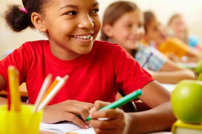 Município de Arroio do Tigre (RS) utiliza modelo de aulas programadas e videoaulas para alfabetizar alunos durante a pandemia